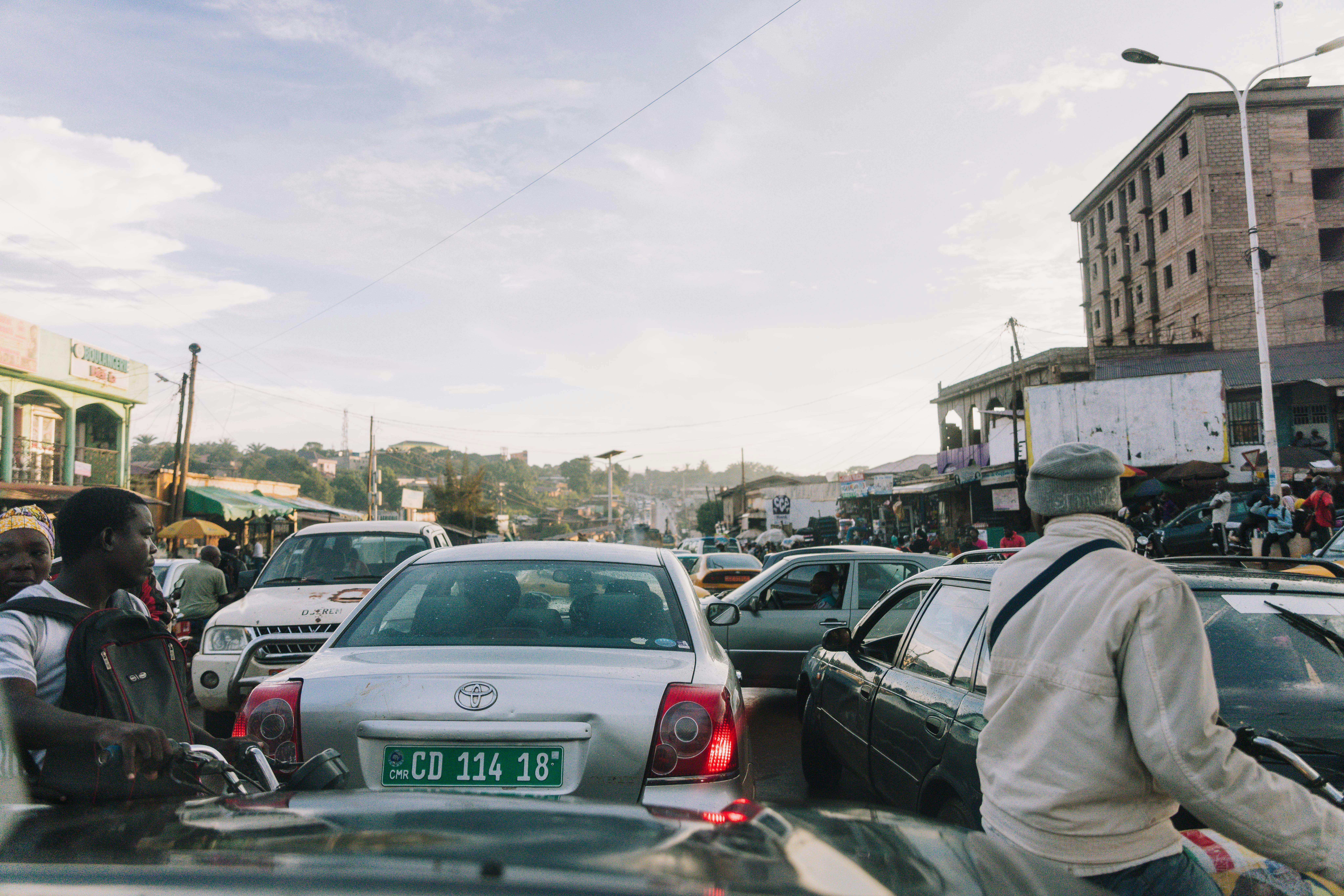 Analysis of the Financial and Economic Profitability of Rice Production in the Far North of Cameroon: The Case of SEMRY Banner