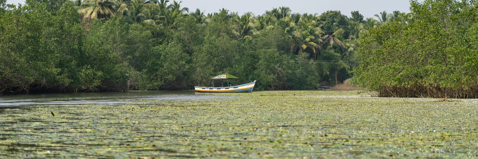 Oil Spills Cleanup Operations on Land and Inland Waters – The Mangroves Cleanup Philosophy Banner