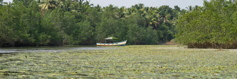 Oil Spills Cleanup Operations on Land and Inland Waters – The Mangroves Cleanup Philosophy
