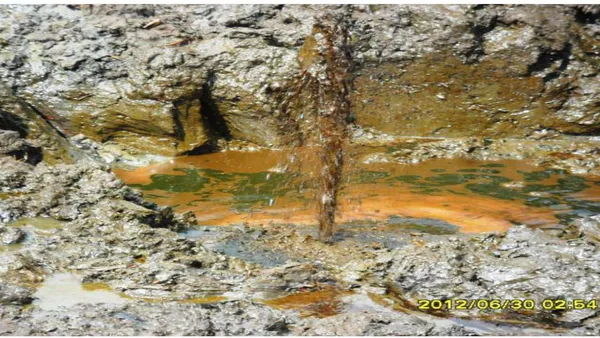 Oil Spills Cleanup Operations on Land and Inland Waters – The Mangroves Cleanup Philosophy