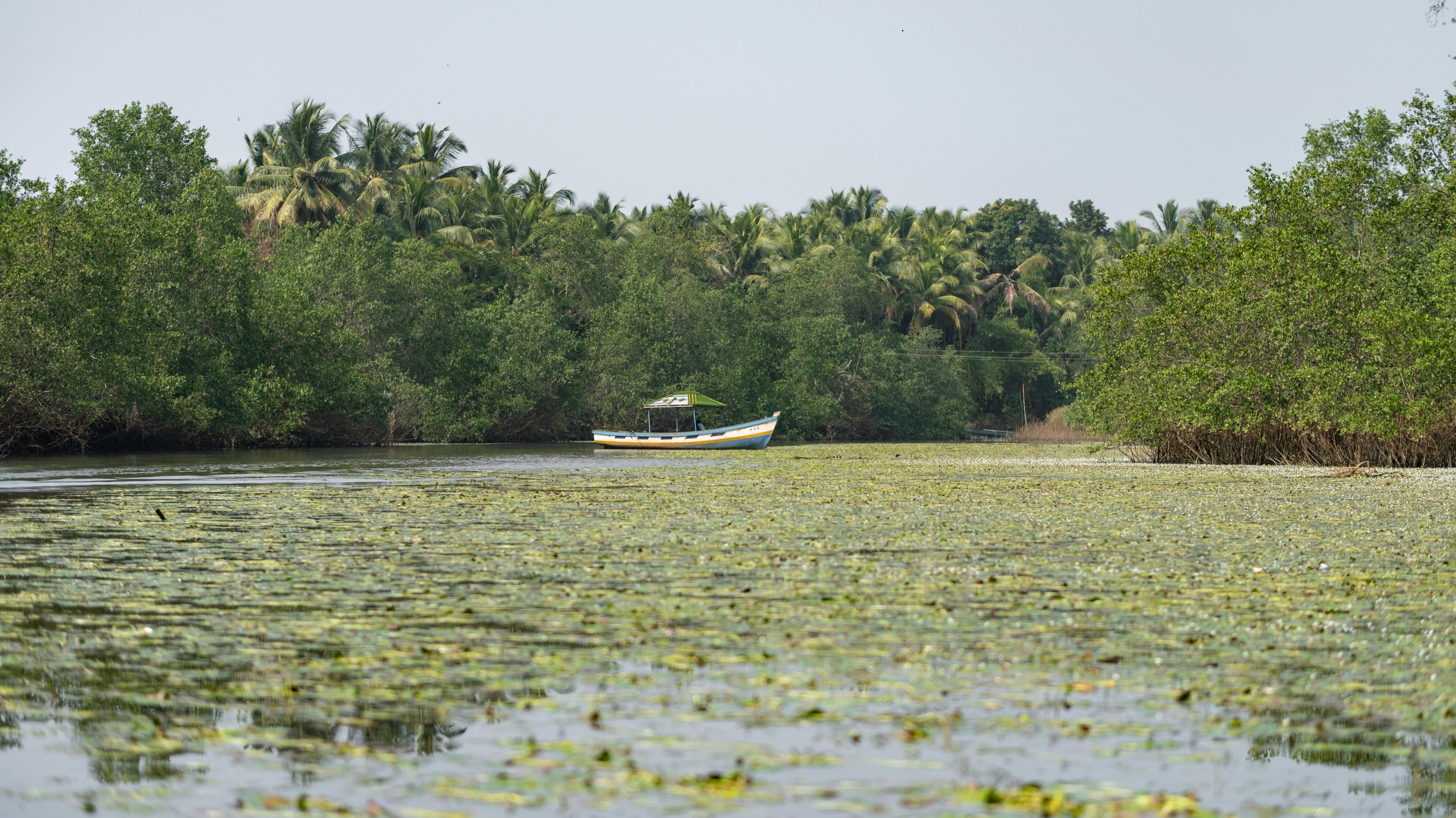 Oil Spills Cleanup Operations on Land and Inland Waters – The Mangroves Cleanup Philosophy
