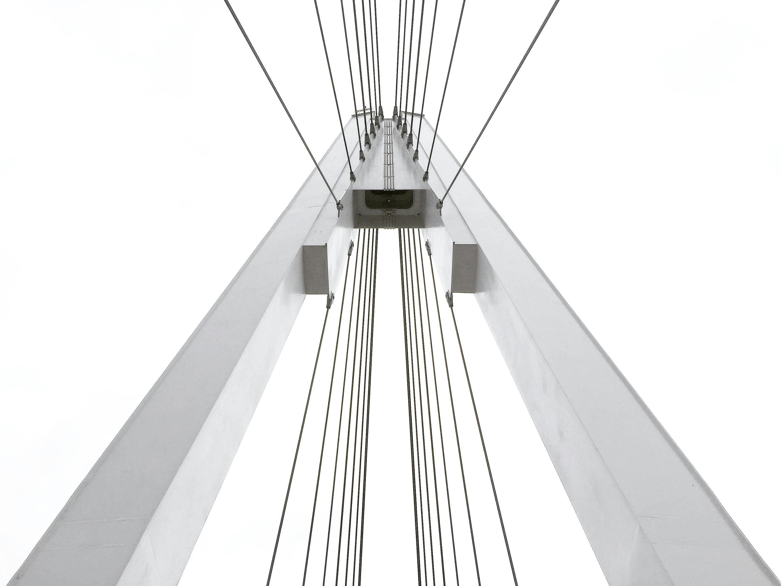 A Human-in-the-Loop Machine Learning Approach for Stress Ribbon Bridge Cable Profiling Banner