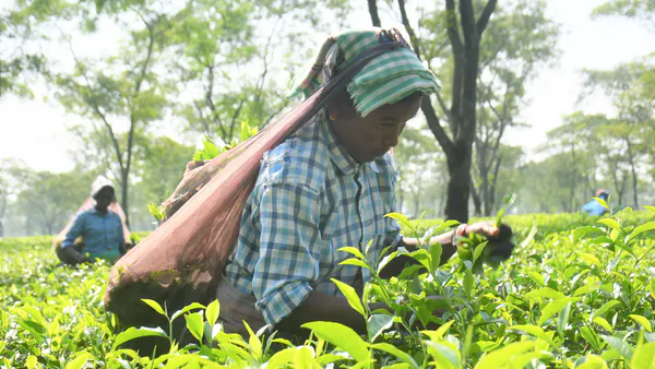 Covid-19’s Impacts on Bangladeshi Migrant Workers and Remittances: In Quest of Policy Suggestions