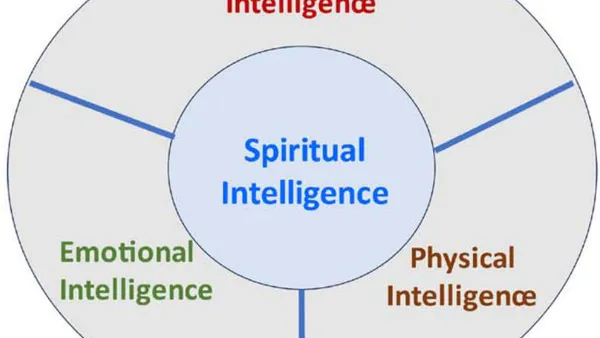 Spiritual Intelligence and its Practical Importance – Insights from Oman