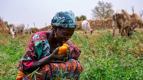 Market Systems in the Development of Agricultural Value Chains in Mozambique: A Case Study of ETG (2020–2023)