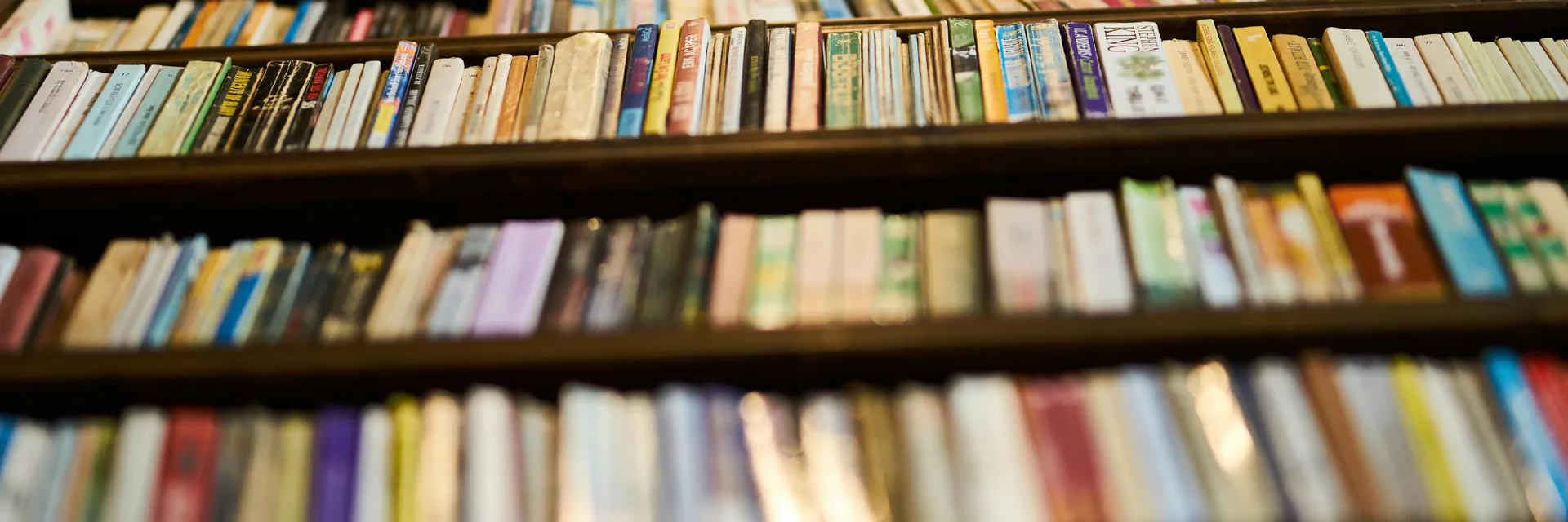The Twilight and Eclipse of Literature in the School of Paper: Manufactured Tensions and Newartisanal Nuances Banner