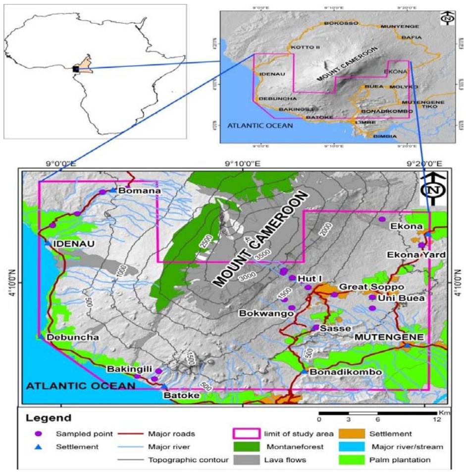 Lichen Species as Bio-accumulator of some Halogens on Mount Cameroon Valcano, West Africa