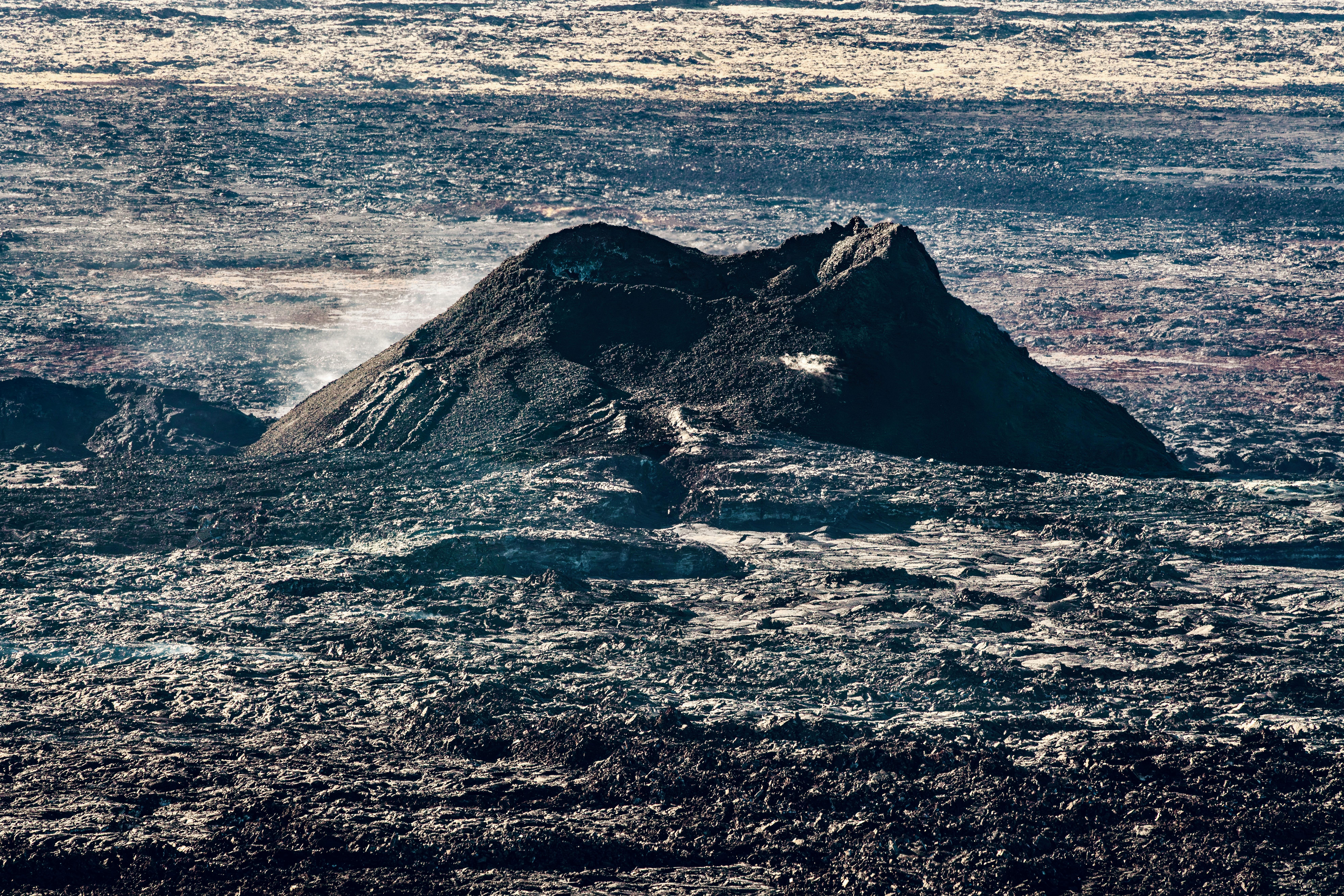 Lichen Species as Bio-accumulator of some Halogens on Mount Cameroon Valcano, West Africa Banner