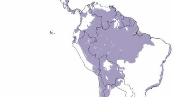 Frontiers in Latin America: A Political Ontology