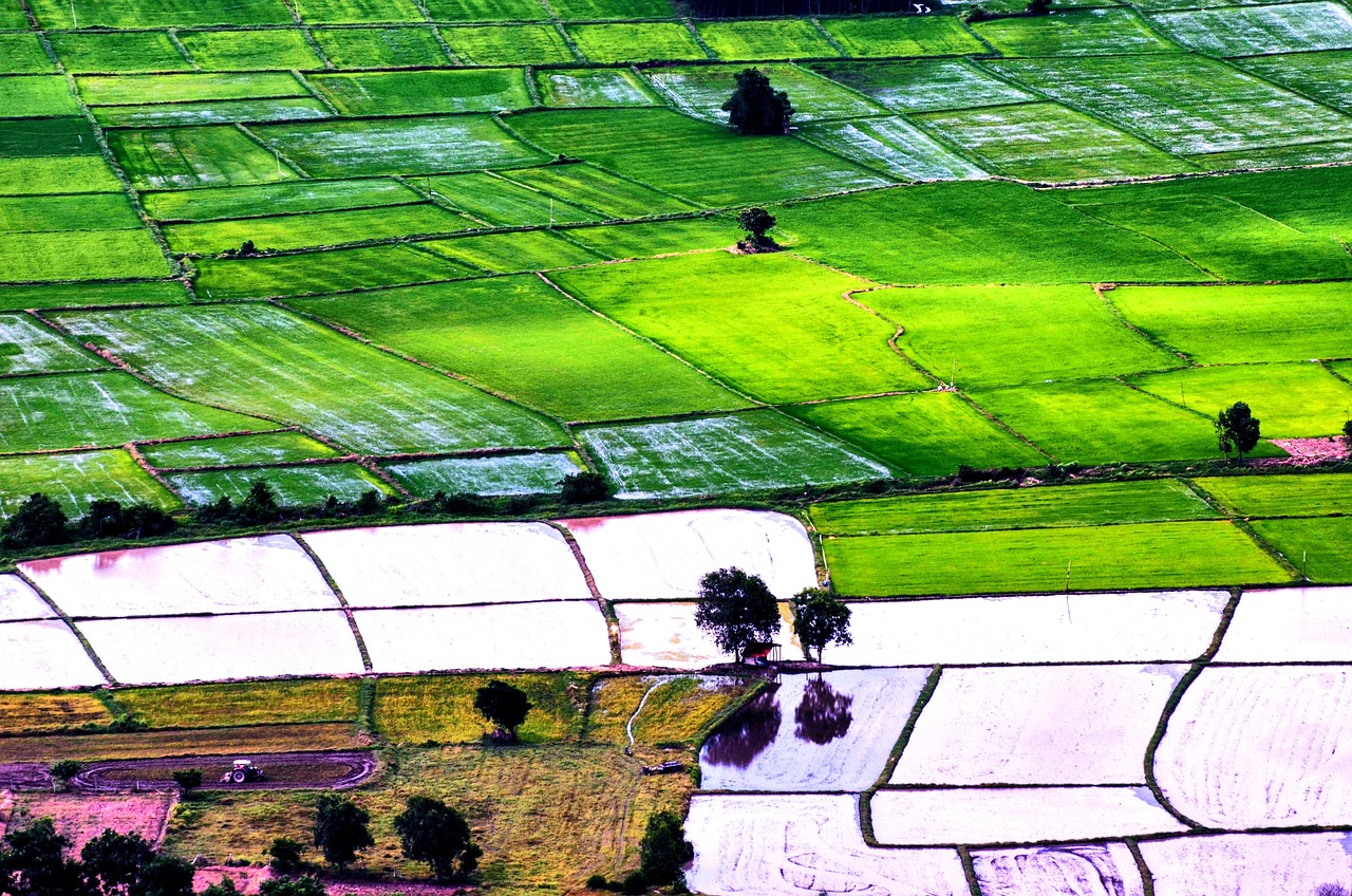 Socio-Economic Factors Influencing the Adoption of LinksFarm Project by Vegetable Farmers in Malungon, Sarangani Banner