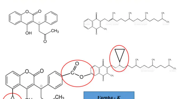 Varpha-K Prototype: Evolution of Anticoagulant Treatment with Improved Safety and Efficiency