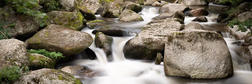 Comparison of Four Protocols For Rapid Assessment of Rivers Applied in the Streams  of Maripá, Parana State, Brazil Banner