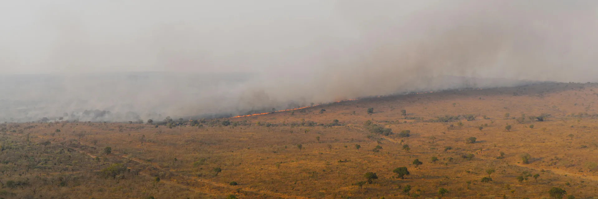 Rangeland Pasture Management Strategies during Drought Among Pastoralists in Kajiado County, Kenya Banner