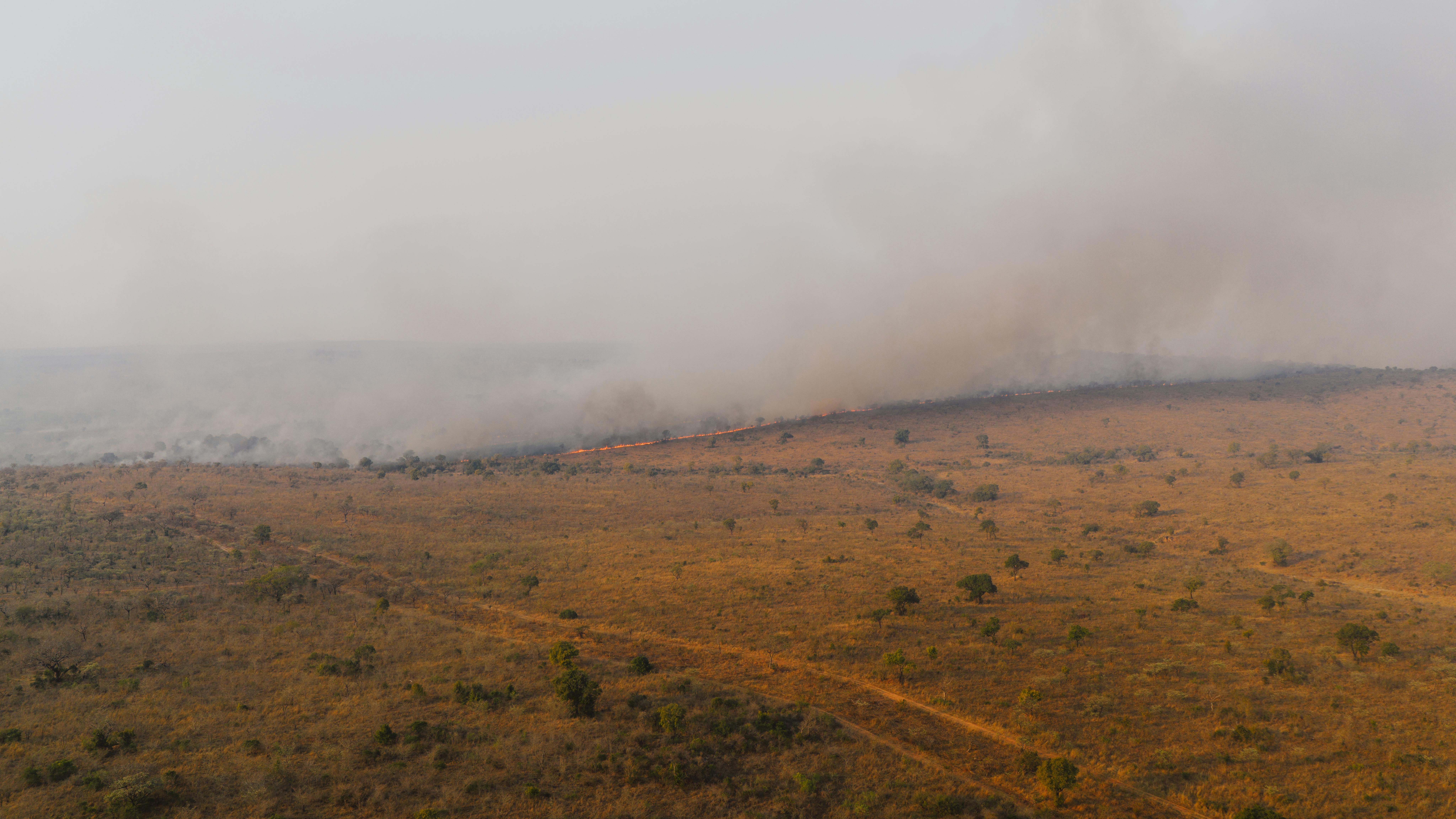 Rangeland Pasture Management Strategies during Drought Among Pastoralists in Kajiado County, Kenya