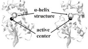 Inspection of Remodeling Impacts of Domain Movements in Hydrosoluble Protein Using Dual Artificial Intelligence Methods