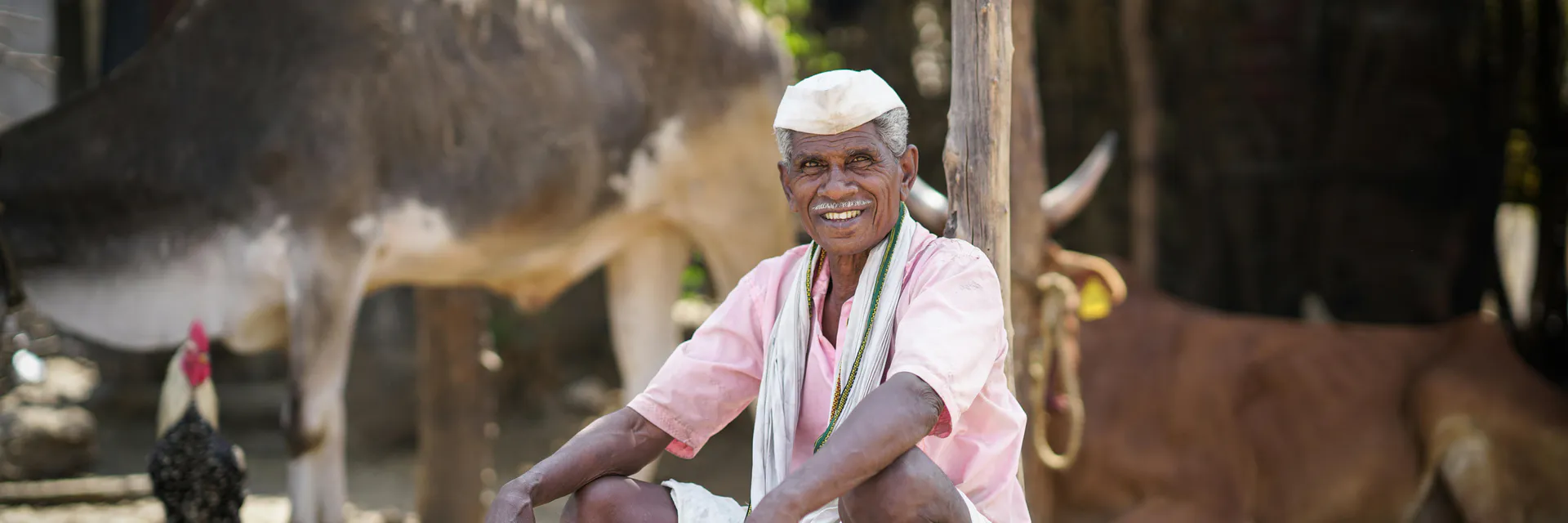 Knowledge Evaluation of Accredited Social Health Activists (Ashas) on Maternal and Child Health, in a Rural Area of Gomati District, Tripura Banner