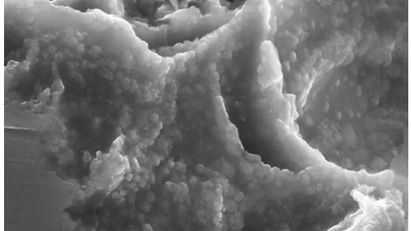 Damageability of Metals under Impulse Loading