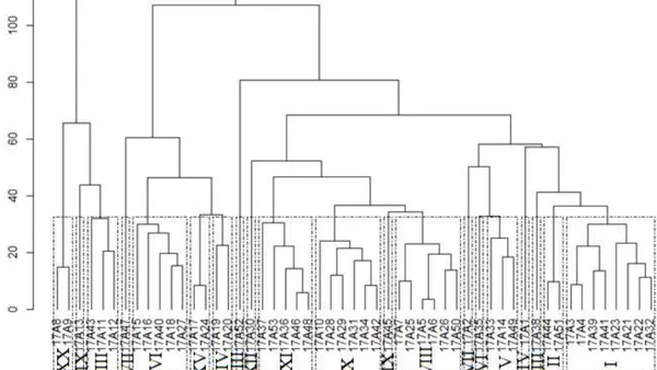 Genetic Parameters and Diversity and Correlations in Onion  Strains
