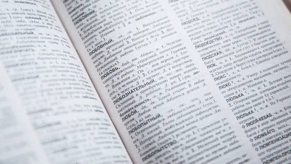 Linguistic Means of Russian-Speaking Extremists’ Speech (Based on Expert Practice)