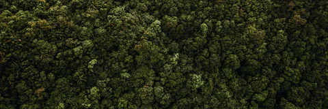 Green Criminology and Conservation Units: The Falsification of Preventive Parameters for the Control of Environmental Crimes in Protected Spaces in the  Amazon