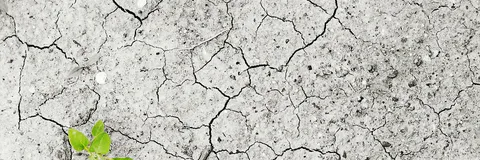 Food Security as Correlate of Interstate Conflict: A Case Study of the State of Qatar