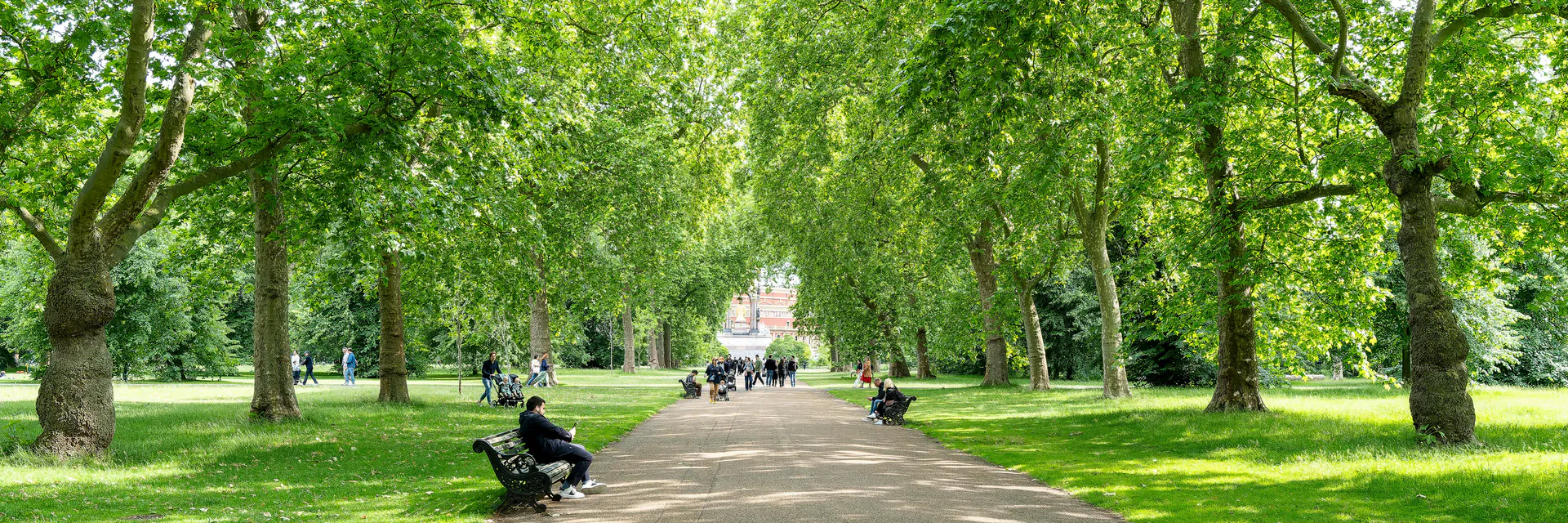 The Human Perception of Green Spaces (GS) and the Research Pattern in  the Last Decade: A Systematic Review Banner