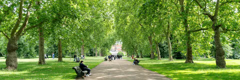 The Human Perception of Green Spaces (GS) and the Research Pattern in  the Last Decade: A Systematic Review