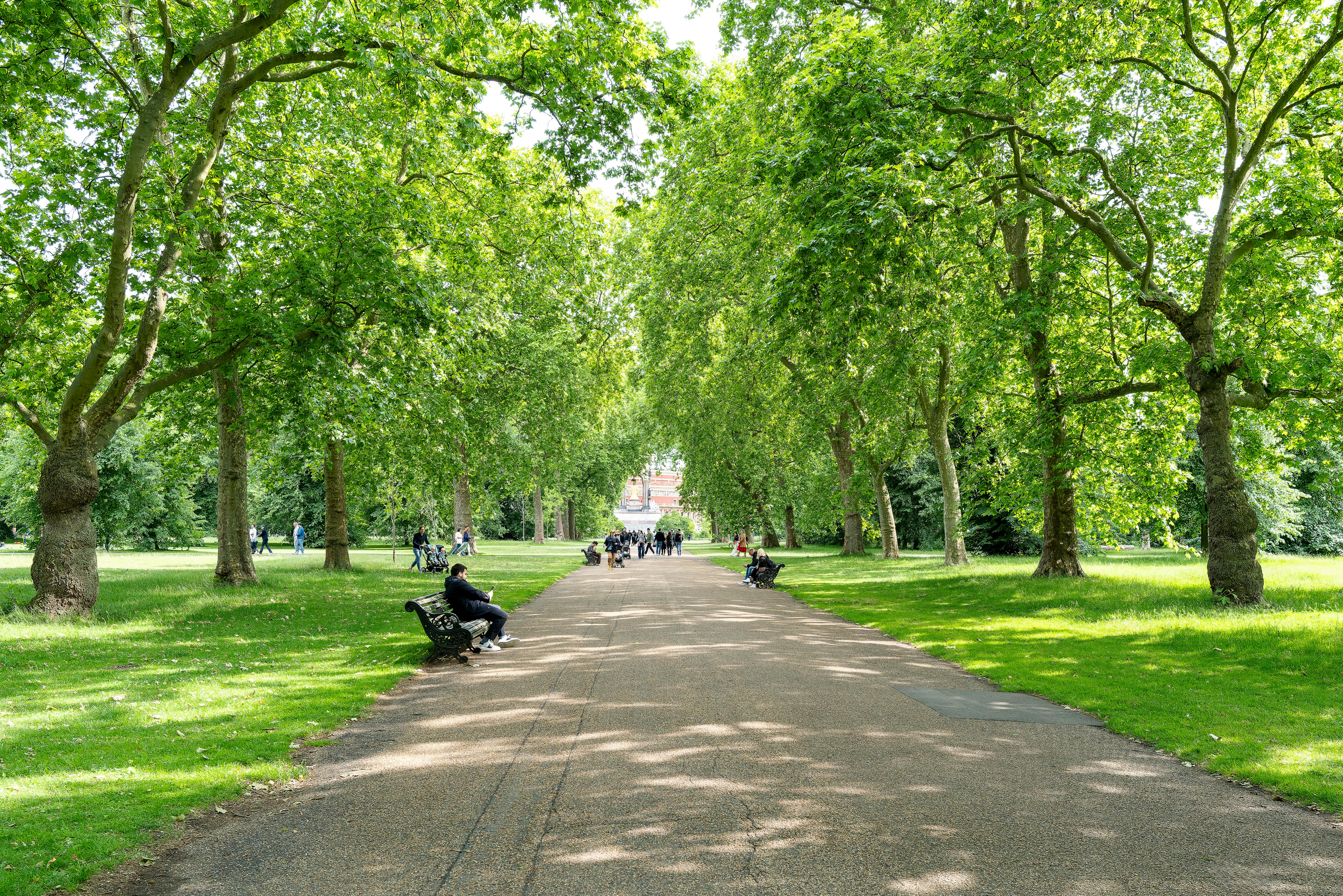 The Human Perception of Green Spaces (GS) and the Research Pattern in  the Last Decade: A Systematic Review