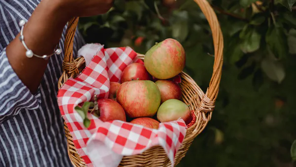 Comparative Study on Organic Calcium Diffusion and Content in Apples and their Influence on Anna Apple Fruits Quality