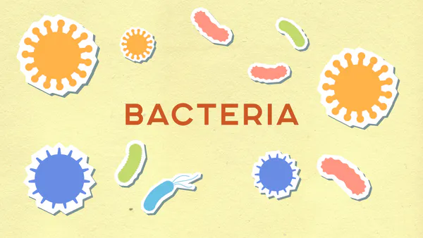Epidemiology of Staphylococcus spp. with Analysis of Various Available Methods for Detection of Methicillin Resistant Staphylococcus Aureus