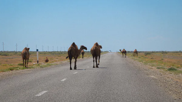 Azerbaijan on the Great Silk Road between China and Europe (Historical Survey)