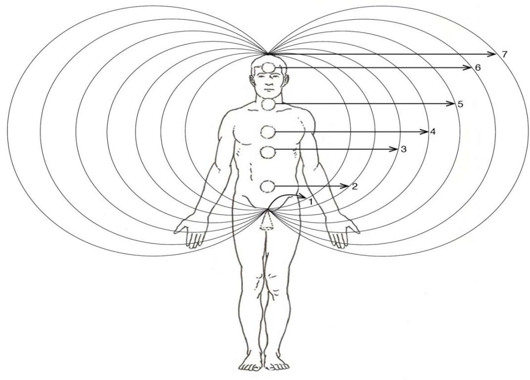 How Does the Behavior “My Way or the Highway” Influences Our Health