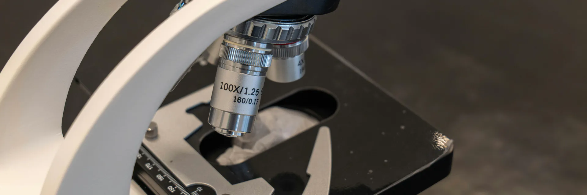 Molecular Detection of Human Papillomavirus using Flow Chip Methodology Banner