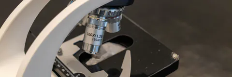 Molecular Detection of Human Papillomavirus using Flow Chip Methodology