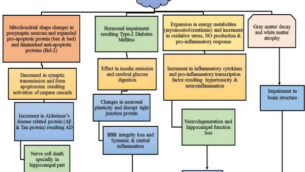 Effect of Obesity in Memory and Cognition