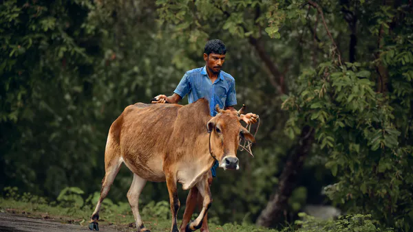 Knowledge and Attitude of Farmers of Small-Scale Dairy Farming at Dhaka, Bangladesh