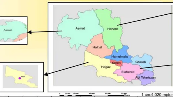 Durability of Long-Lasting Insecticidal Nets (Yorkool) Under Operational Conditions, Anseba Zone, Eritrea