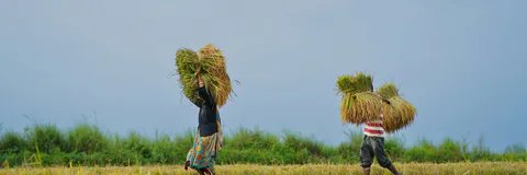 The Social Well-Being Status of Female Rice Mill Workers in Bangladesh: An Empirical Study