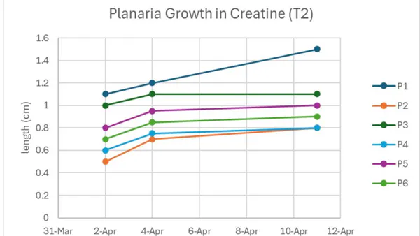 The Regeneration and Growth of Planaria: A Study Testing Planarian Regeneration Effectiveness in Different Solutions