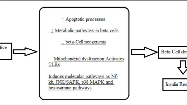 Relationship between Oxidative Stress and Diabetes Mellitus
