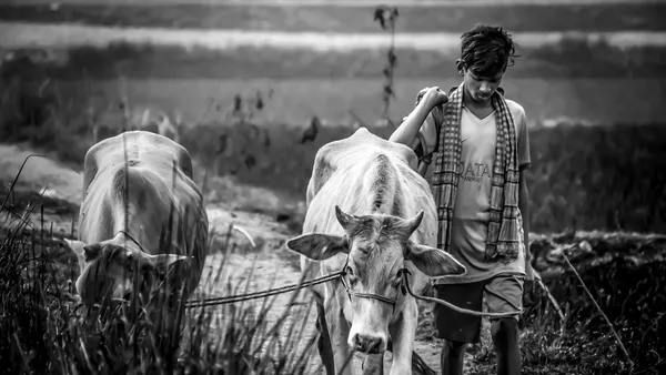 Contribution of Banks on Agricultural Development in Bangladesh