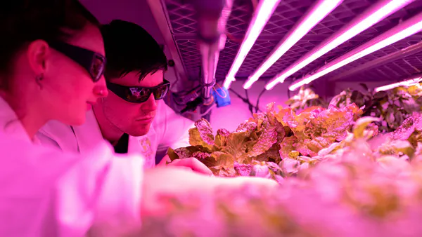 Laser Radiation as a Method of Stimulating Plant Growth