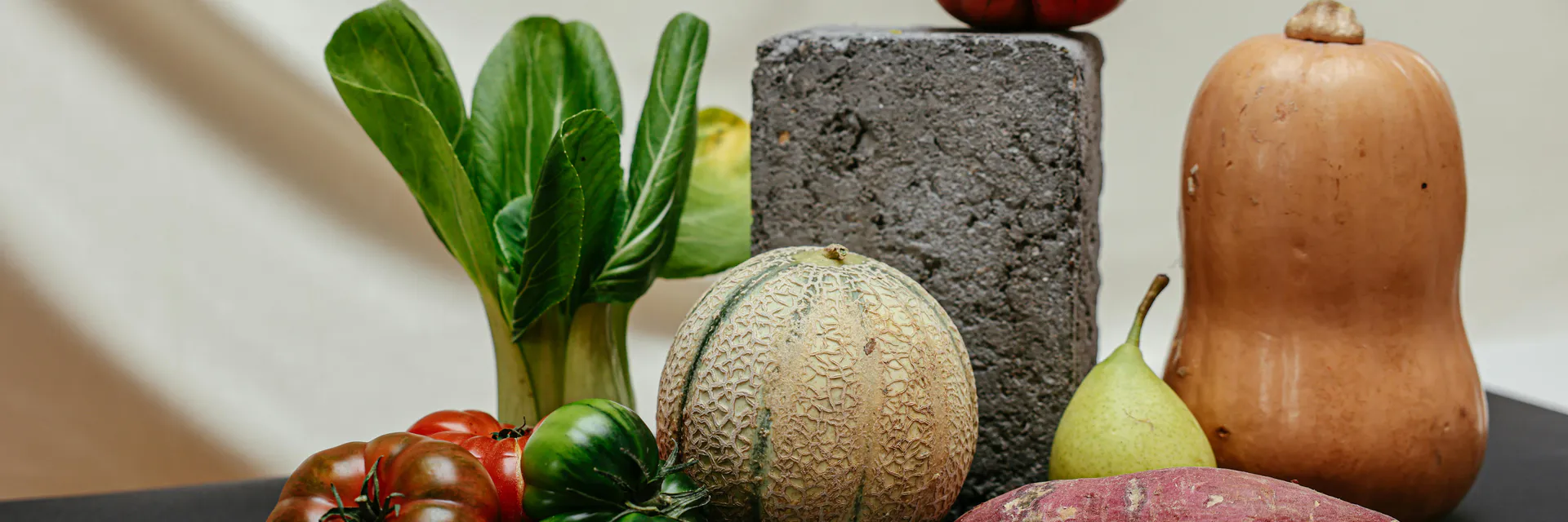 An Evaluation of Nursing Students’ Food Neophobia and Diet Quality Banner