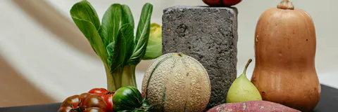 An Evaluation of Nursing Students’ Food Neophobia and Diet Quality