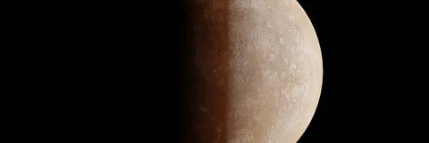 The Journey of Life Creation