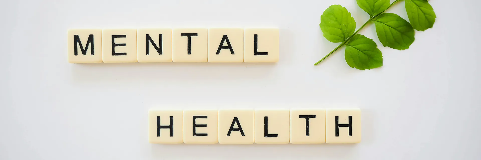 Psychometric Evaluation and Validation of the Questionnaire on Stress in Diabetic Patients in Brazilian Portuguese Banner