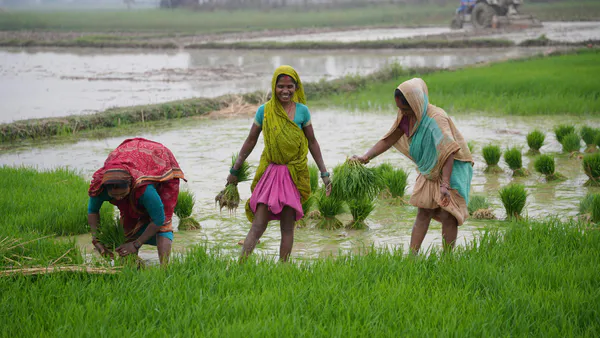 The Role of Microfinance in Integrating Rural Women into Formal Banking  System