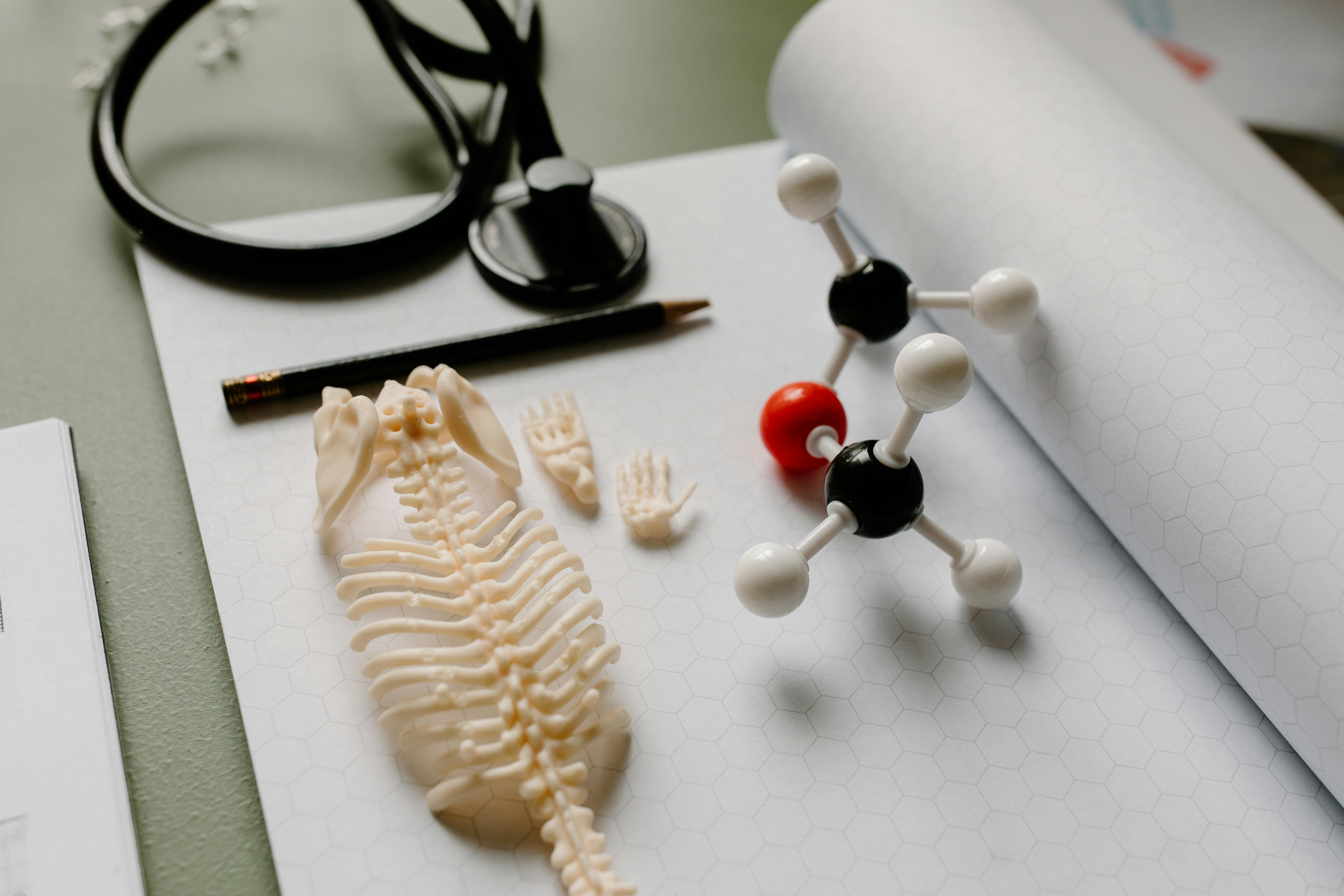 Human Infection Studies and the SARS-CoV-2 Pandemic