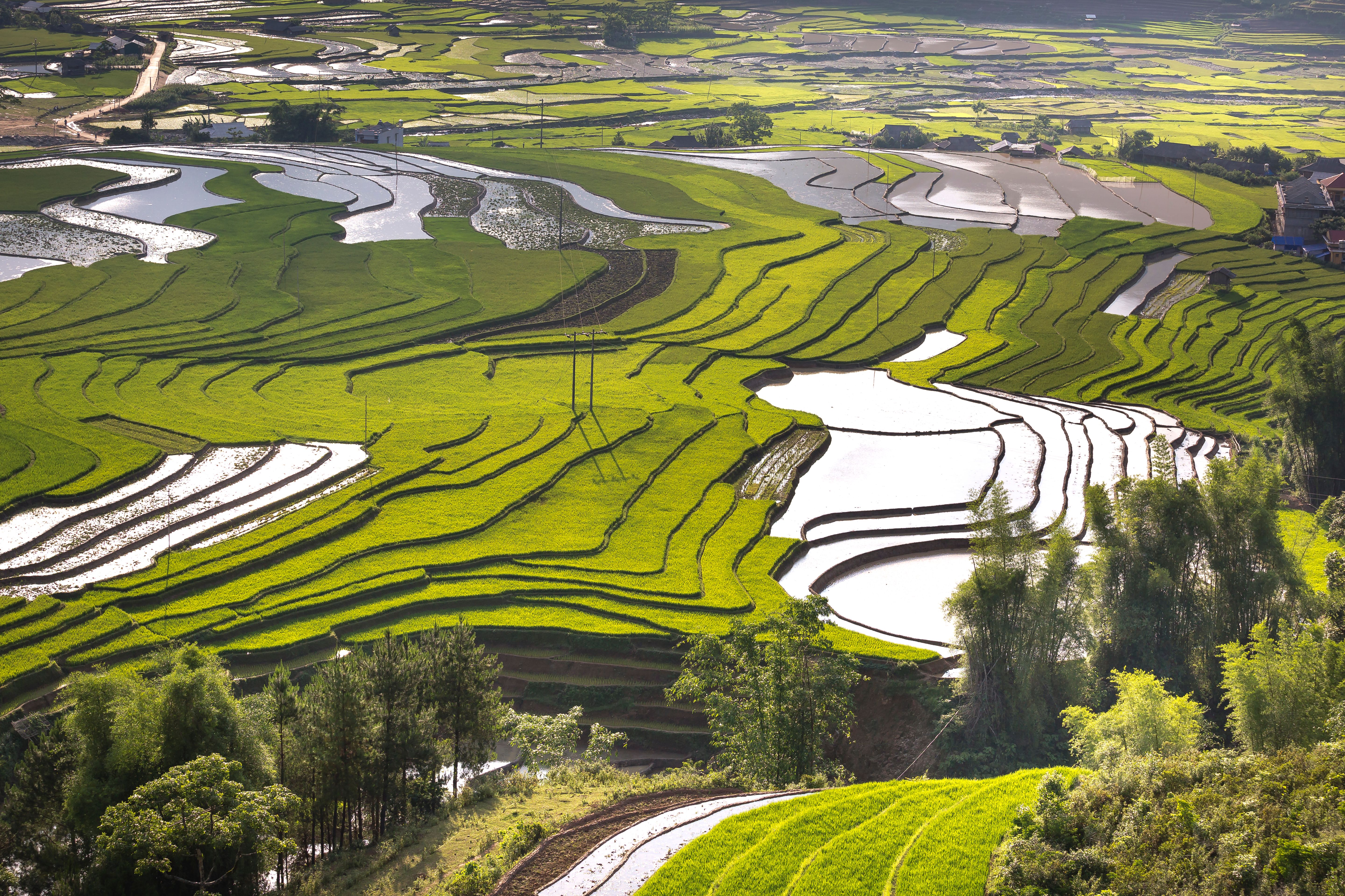 Gendered Division of Labor in Traditional Upland Rice Farming Systems in the Selected Municipalities of 3rd Congressional District of Iloilo
