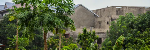 Examining Student Conflicts at School from a Psychosocial Perspective: The Case of Elementary and Secondary Students at Mont-Amba School, Kinshasa: DRC